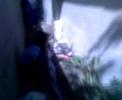 Garden time