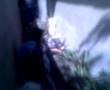 Garden time