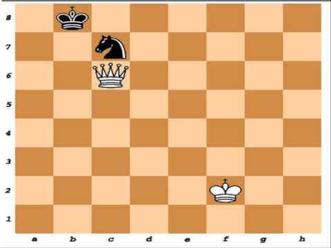 chess knight