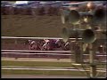 John Henry - 1981 Santa Anita Hdcp