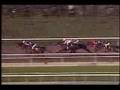 John Henry - 1981 Santa Anita Hdcp