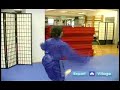 Advanced Wushu Techniques : The Wushu Tornado Kick Advanced Wushu Techniques : The Wushu Tornado Kick