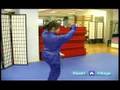 Advanced Wushu Techniques : The Wushu Tornado Kick