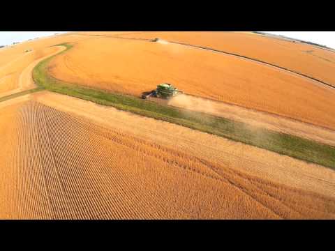 how to harvest october beans