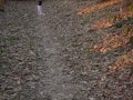 Emily Trips up-Funny