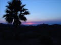Click here to watch this video Blue Svengalis - Californ.ia ['Sparkly' Radio Edit]