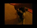 See video