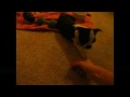 See video