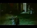 RSPCA TVC3 from The Campaign Palace