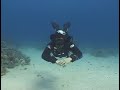 Buoyancy Control And Trim - Scuba