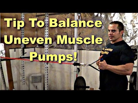 how to define back muscles