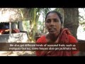 Murky Waters: Shrimp Farming in Bangladesh