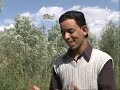 Amnay-taroua n tamazirt tv tamazight JUIN 2011 -www.izlan.fr
