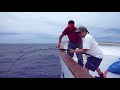 Red Rooster 3 - Rob's yellowfin tuna 113.8lb - Full video