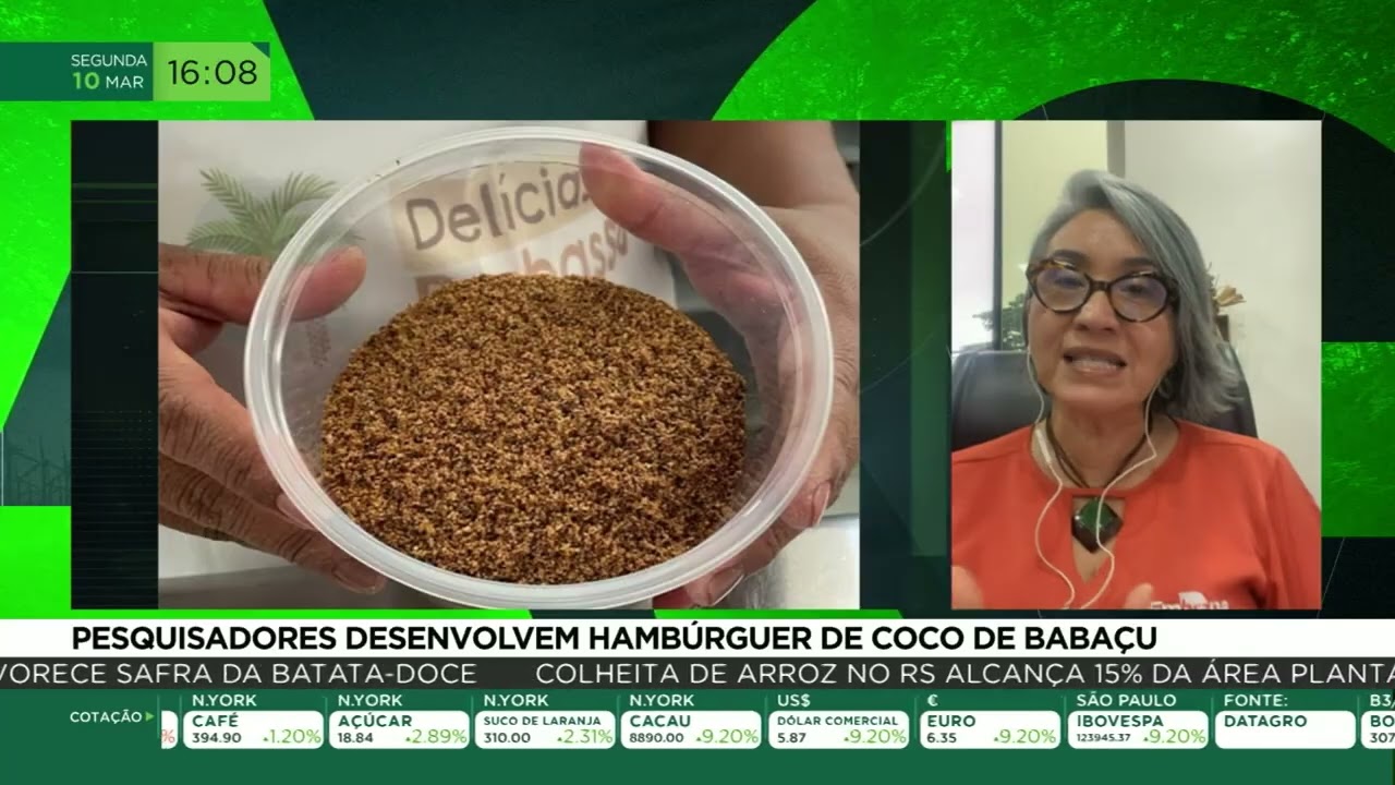 Pesquisadores desenvolvem hambúrguer de coco babaçu