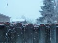 Picture or Video 005.MOV