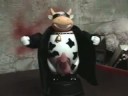 cow striptease