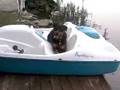 videos de Chillin in the paddle boat
