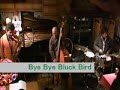 Bye Bye Black Bird