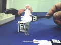 Cyber-Figure-Alice-C