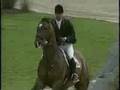 Loro Piana Tomboy: most powerful showjumper ever!