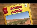 Entrevista a Ramón Saavedra de Bodega Cauzón. 1 Parte.