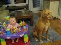 ☺ America's Funniest Home Videos Part 99 (NEW!)