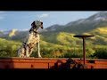 budweiser-beer-2008-super-bowl-commercial-super-bowl-42-ad.html