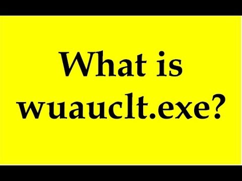 how to enable wuauclt exe