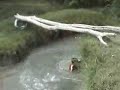 LAS CAIDAS DE LOS GORDOS