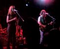 flightless bird   iron   wine