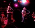 flightless bird   iron   wine