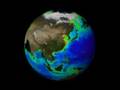 Global Plankton Blooms