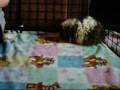 My Grandma\