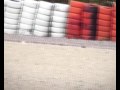 clio cup 2006 Retrospective