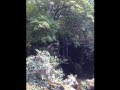 Gaz's birthday adventure with the Azumas [no subs]
