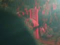 bamboo - hallelujah @ trinoma