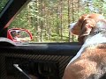 Cruising with zee Dog! =) part1