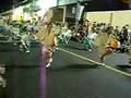 武蔵小金井 阿波踊り koganei-shi 2008