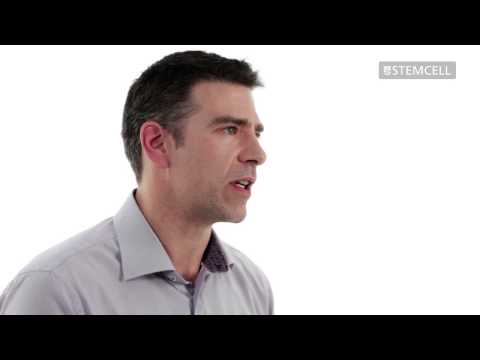 how to isolate intestinal epithelial cells