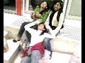 amigas frine II