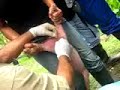 castracion de marranos