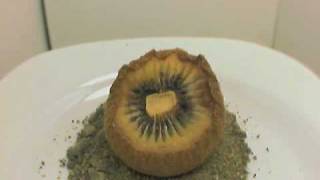 Kiwi timelapse