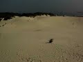 Joaquina - Floripa/SC 2006