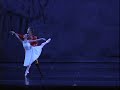 The Nutcracker-Janica Smith/Timothy Coleman