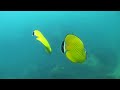 Kho Tao (Tailandia)