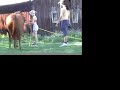 Horsecare