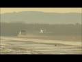 Terrafugia Flying Car Makes Historic First Flight