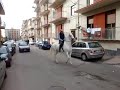 MOV02119.MPG