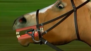 Veja como funciona o freio usado em cavalos de "esportes"